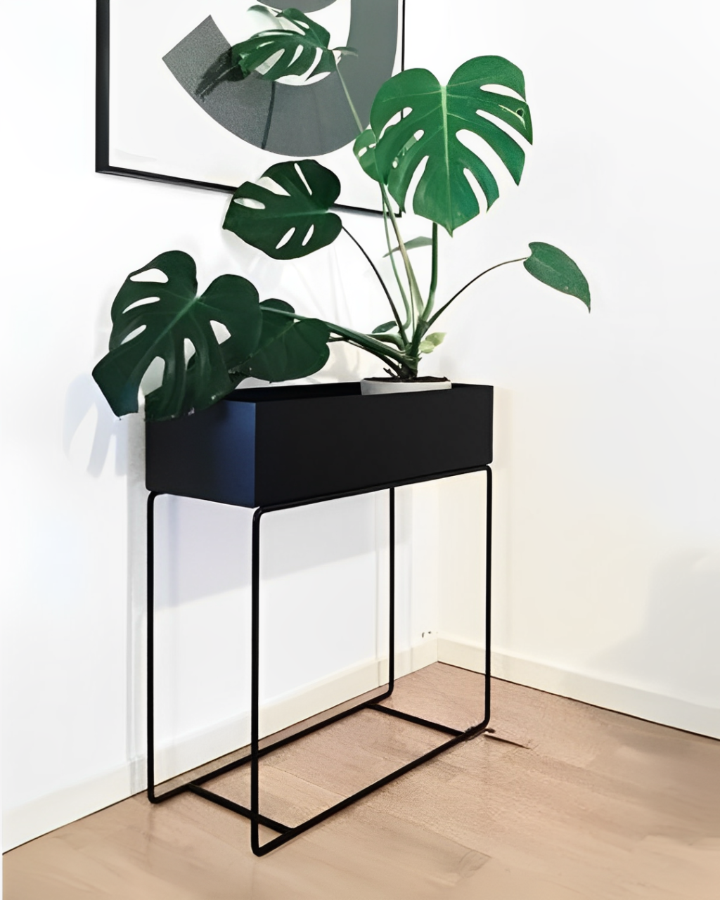 Nest Plant Holder