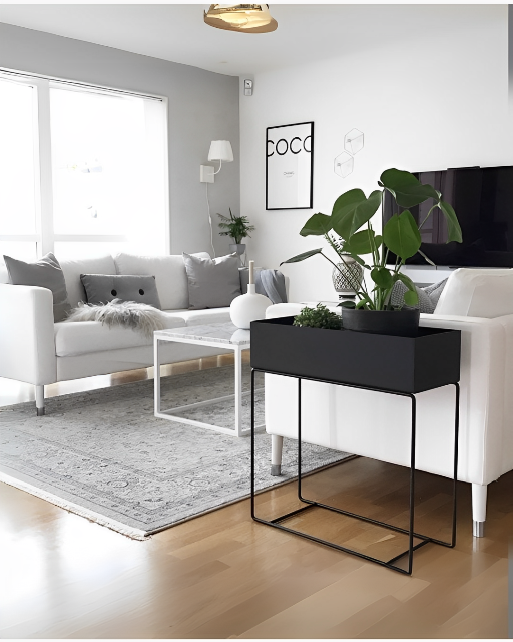 Nest Plant Holder