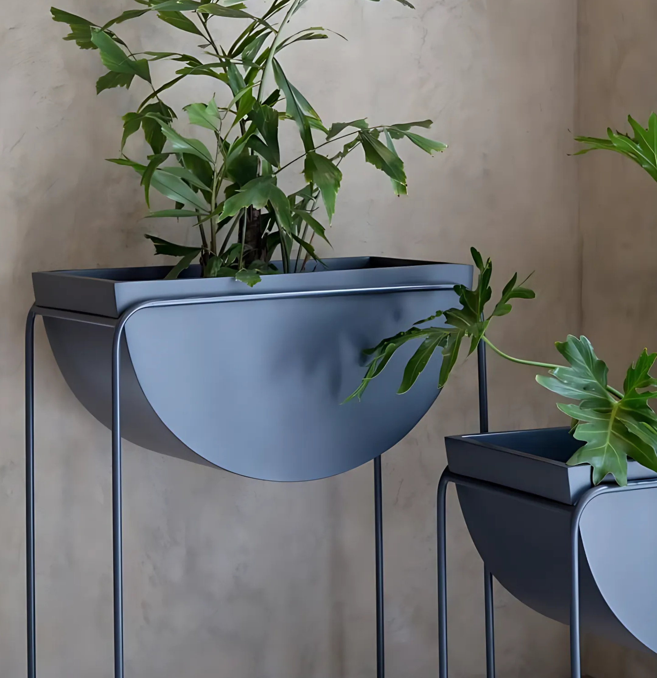 Plants Holder